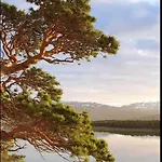 Drommehytta Pa Senja
