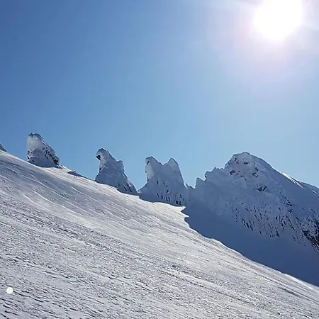 펜션 Drommehytta Pa Senja Tranøya