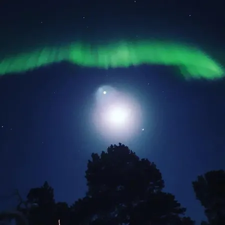 Drommehytta Pa Senja *